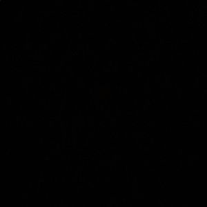 Meet your Posher, Dustin